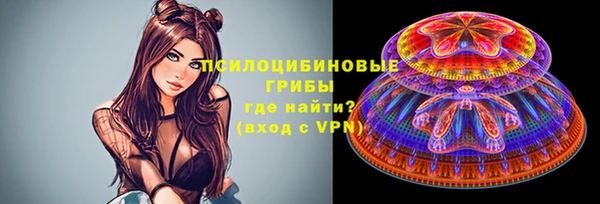 шишки Алексин