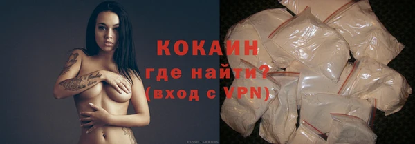 молекула духа Снежногорск