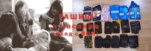 молекула духа Снежногорск