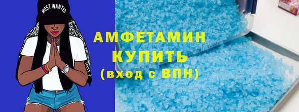 молекула духа Снежногорск