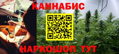 индика Партизанск