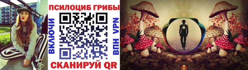 наркотики  Геленджик  Псилоцибиновые грибы Magic Shrooms 