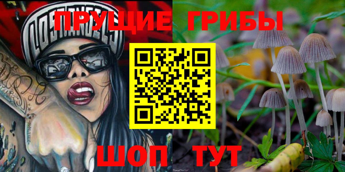 Геленджик  Галлюциногенные грибы MAGIC MUSHROOMS  купить закладку  Вход с VPN 