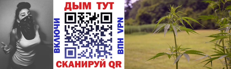 где найти наркотики  МЕГА зеркало  Бошки марихуана AK-47  Геленджик 