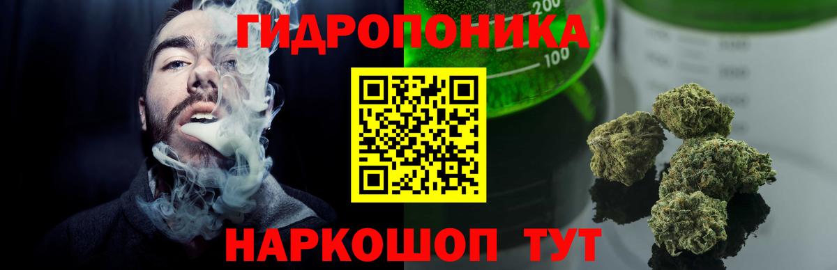 Канабис семена  Марихуана MAZAR  Бошки Шишки индика  Геленджик  Вход с VPN 